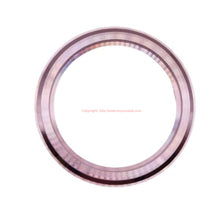 Load image into Gallery viewer, Vostok Bezel