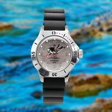 Load image into Gallery viewer, Vostok Amphibian Classic 120658 With Auto-Self Winding Watches